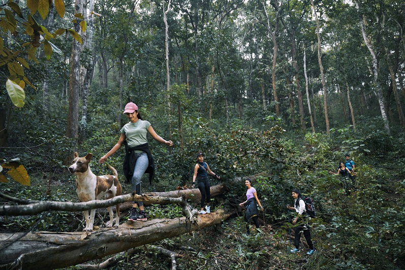 Enjoy the exciting trekking experience