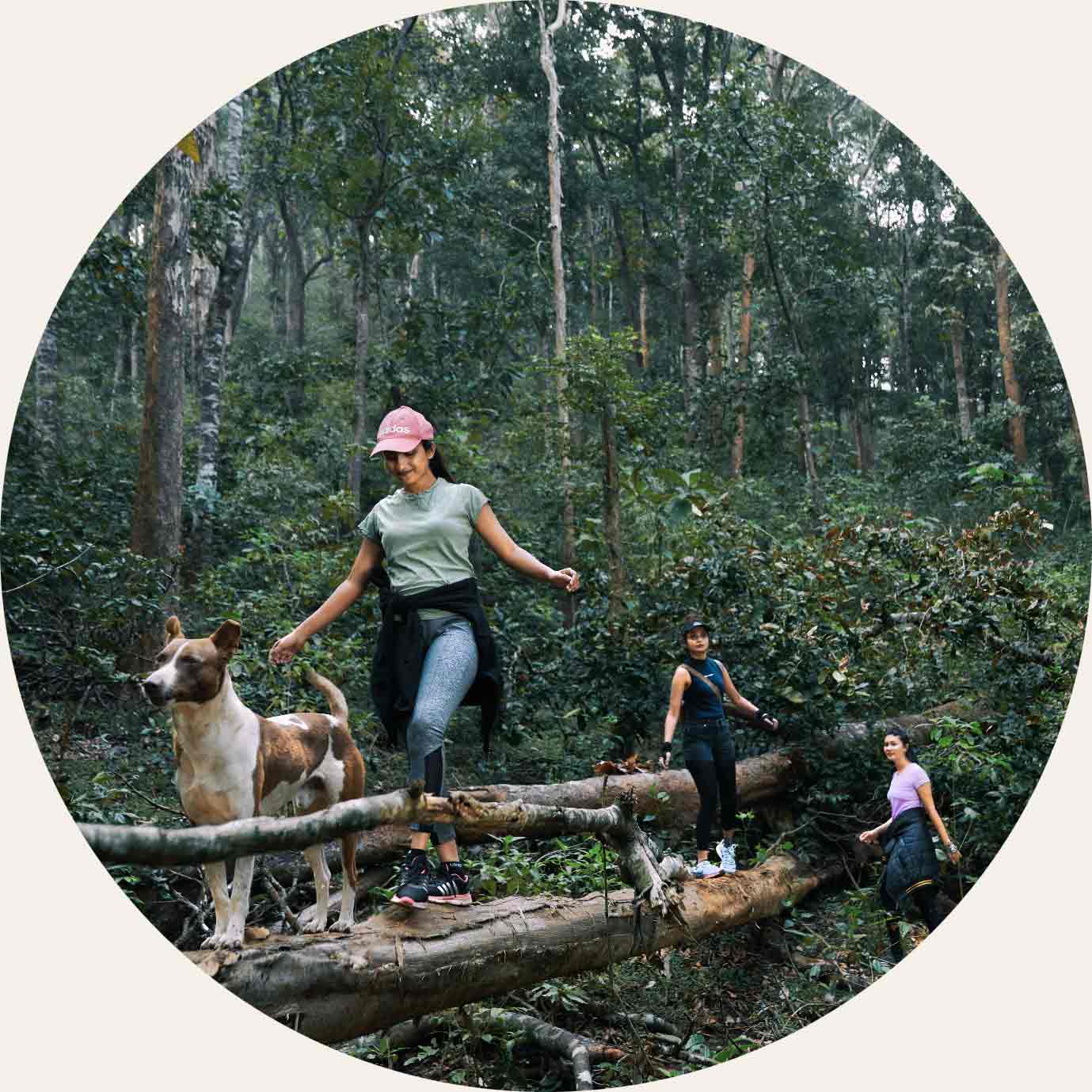 Whistling Woodzs contact 1