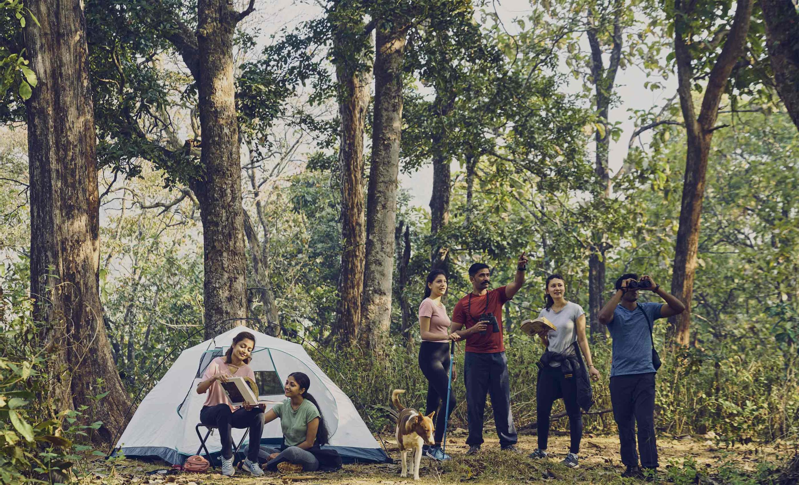 Whistling Woodzs dandeli 2 scaled