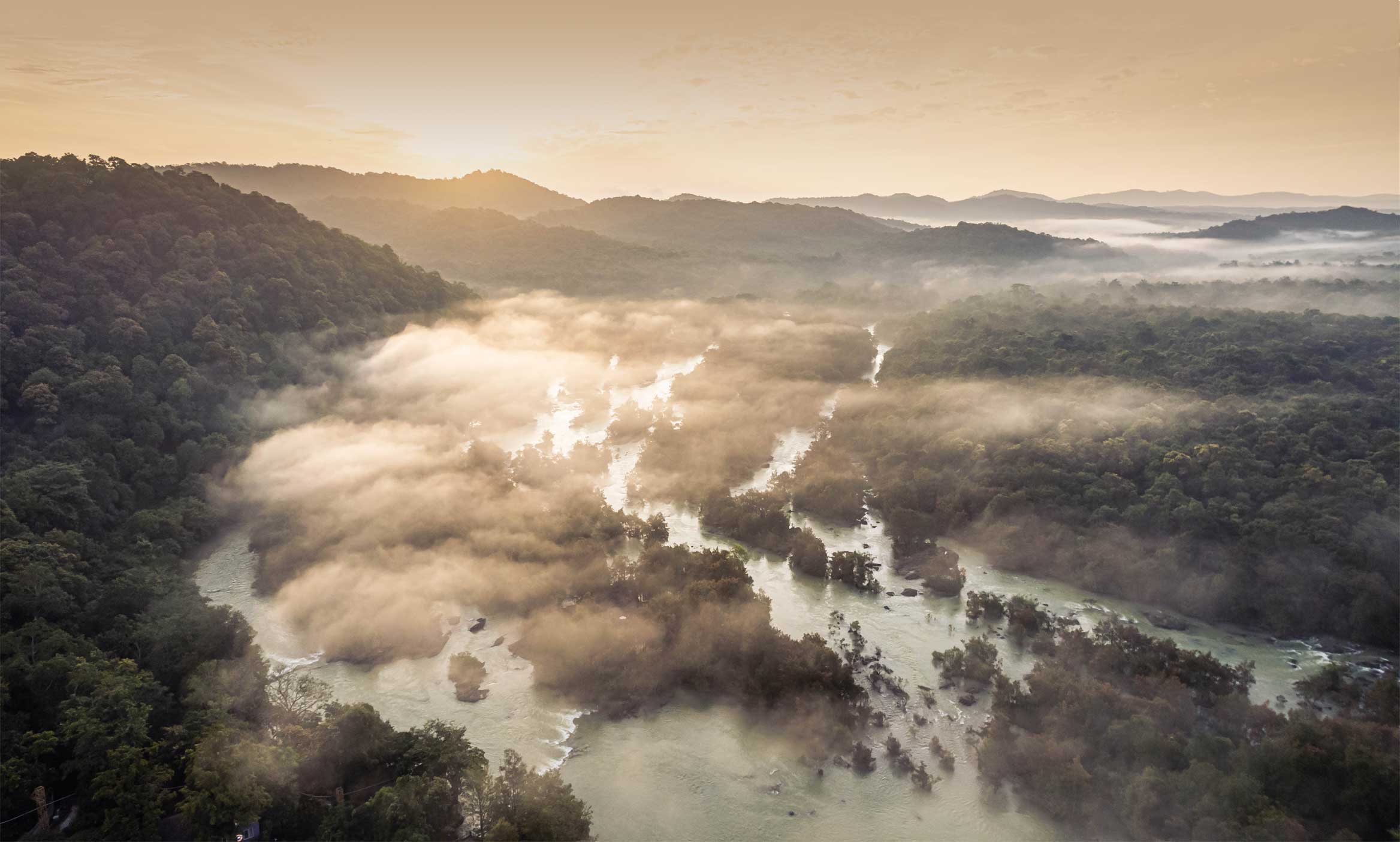 Whistling-Woodzs-dandeli-header