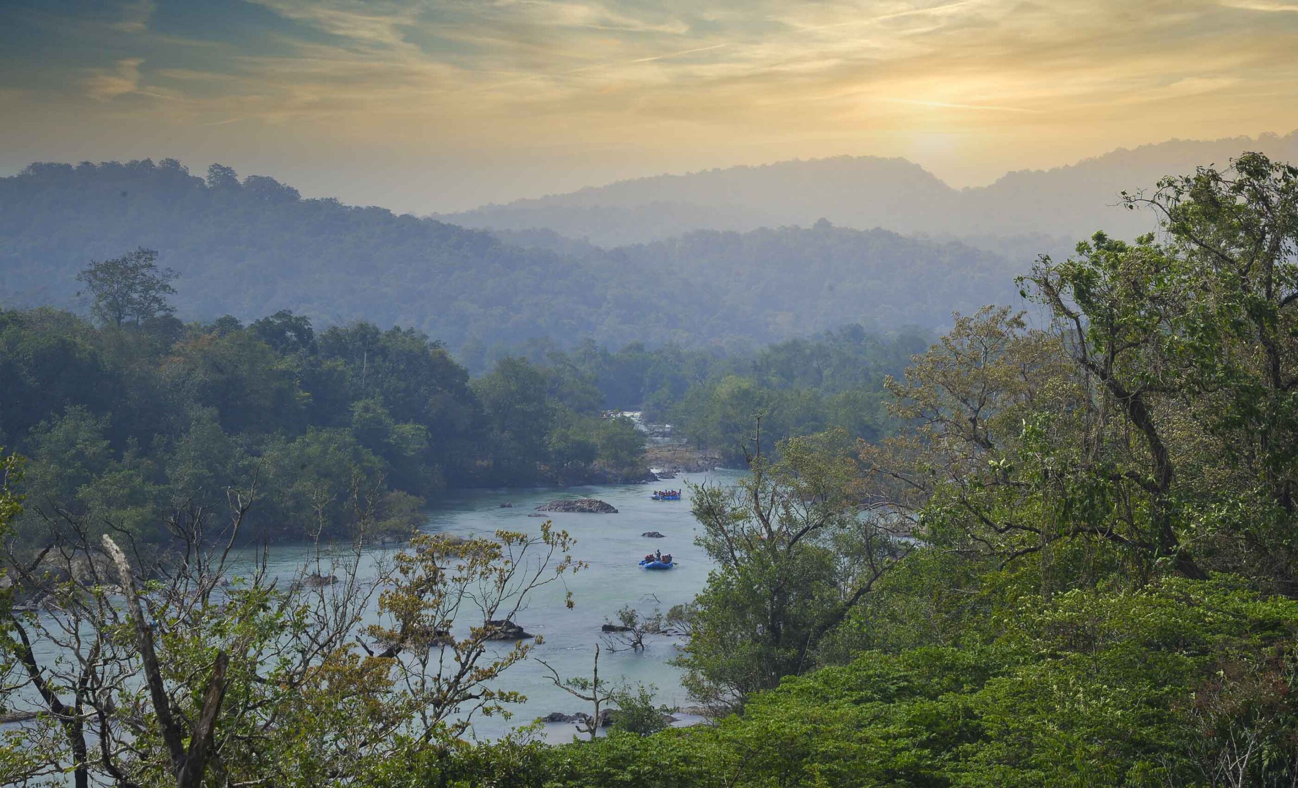 Whistling Woodzs dandeli slider2 1 scaled