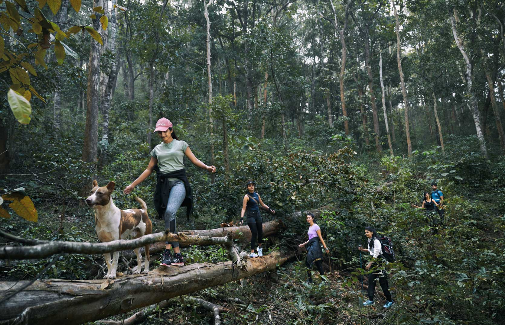 Whistling-Woodzs-home-page-dandeli-2