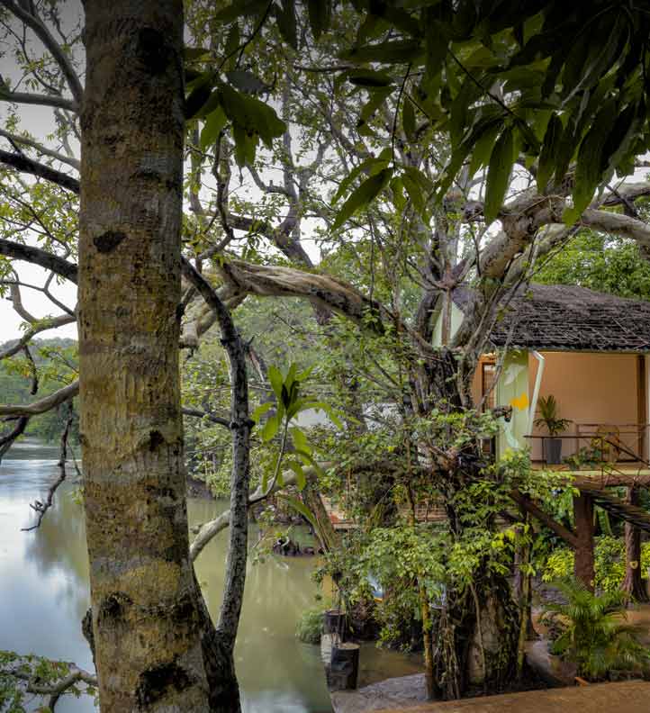 Whistling Woodzs tree house thumb