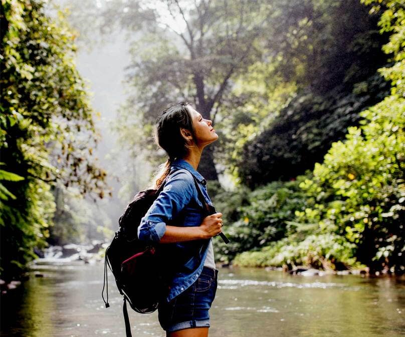 Whistling-Woodzs-home-page-header-1